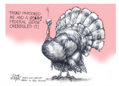 TRUMP PARDONS THANKSGIVING TURKEY by Dick Wright