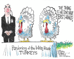 PARDONING OF THE TURKEYS by John Darkow