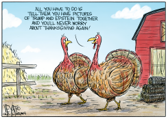 THANKSGIVING TURKEY GUARANTEES by Christopher Weyant
