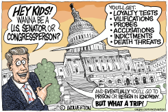 CHOOSING A FUN CAREER IN CONGRESS by Monte Wolverton