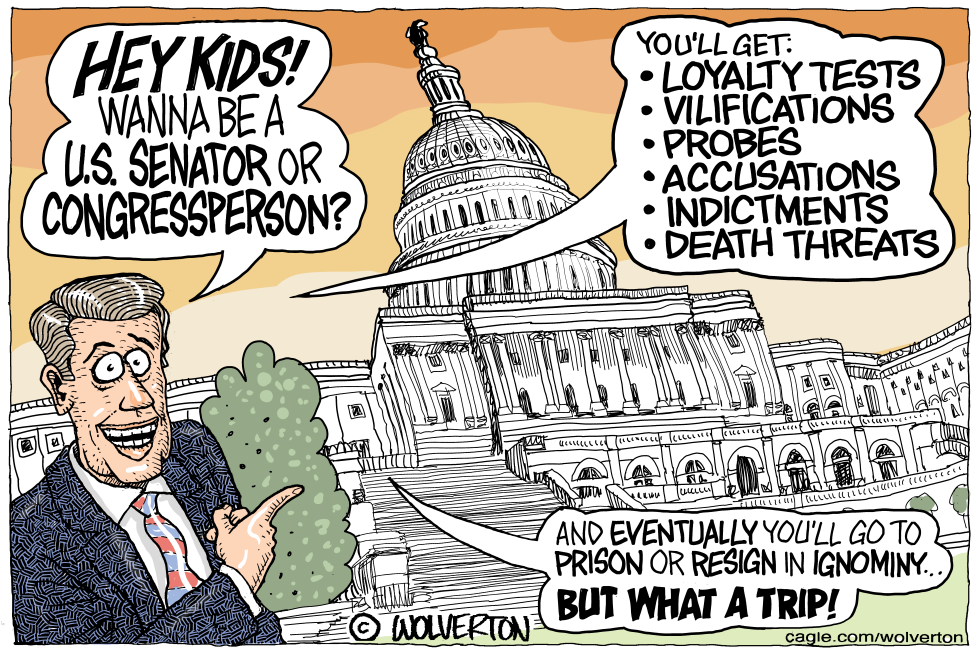 Choosing a Fun Career in Congress