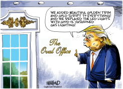 WHITE HOUSE RENOVATIONS by Dave Whamond