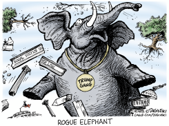 ROGUE ELEPHANT UPROOTING NORMS by Paul Duginski