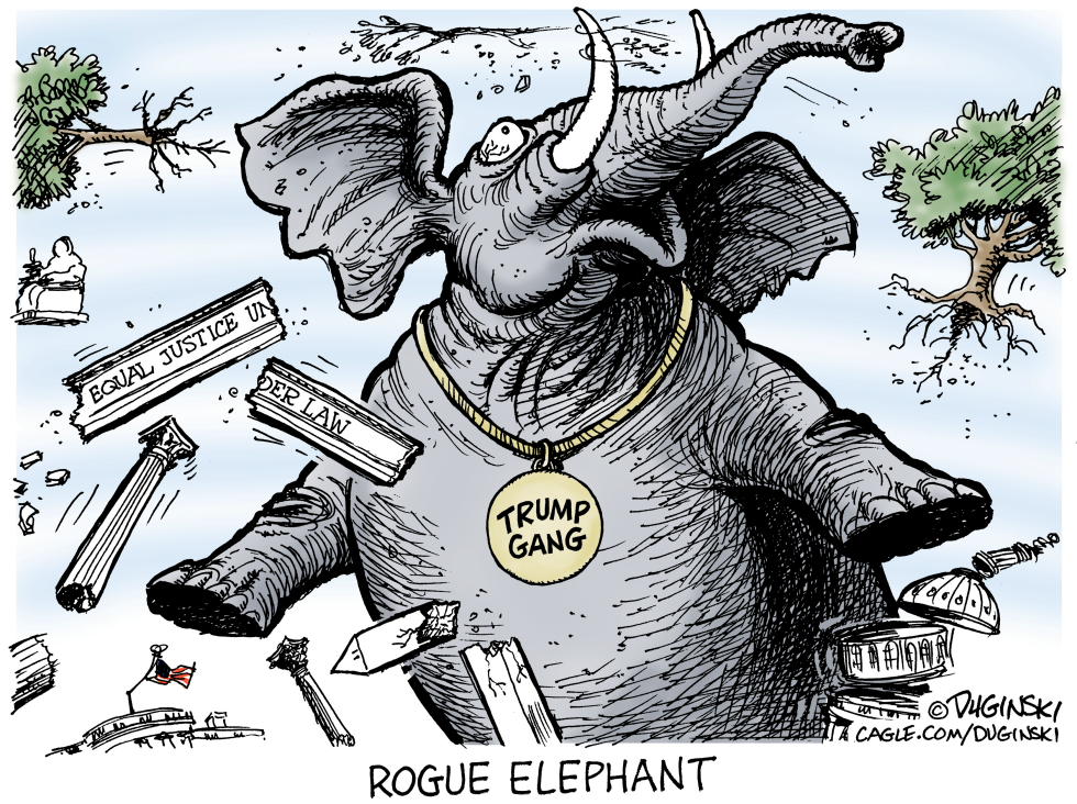 Rogue elephant uprooting norms