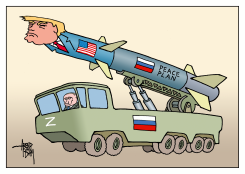 PEACE PLAN MISSILE by Arend van Dam