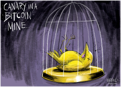 BITCOIN CRASHES by Dave Whamond