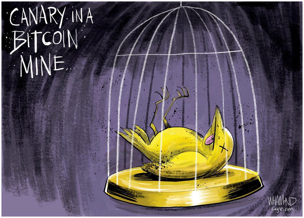 Bitcoin crashes