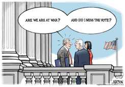 CONGRESSMAN ASK ARE WE AT WAR by R.J. Matson