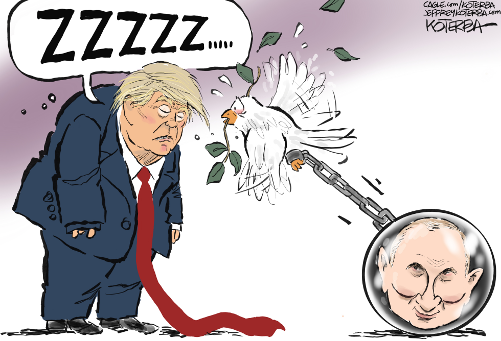 Sleepy Don and the Dove