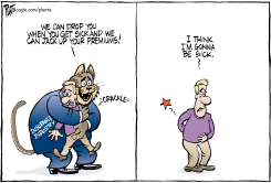 UNHEALTHY INSURANCE by Bruce Plante