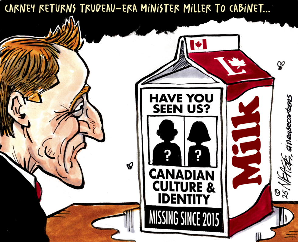 Lost Culture