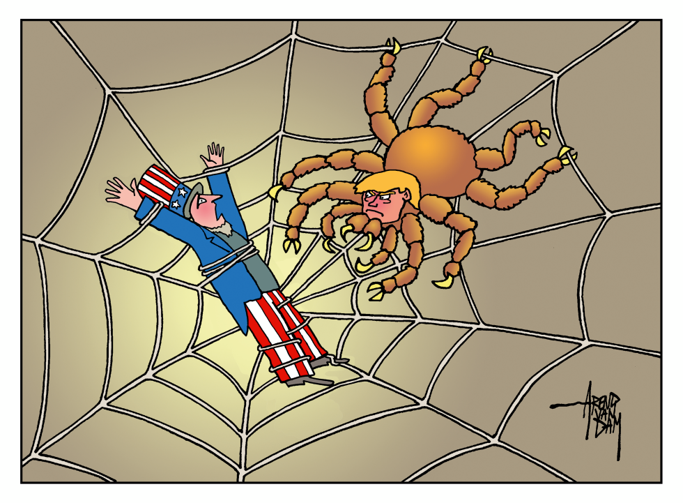 spider Trump and prey