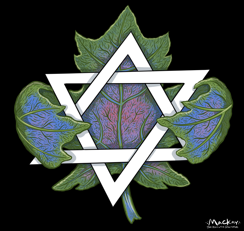 Canadian maple leaf embraces Star of David