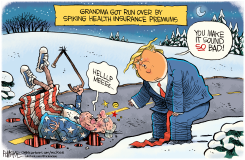 GRANDMA GOT RUN OVER BY HEALTH CARE PREMIUMS by Rick McKee