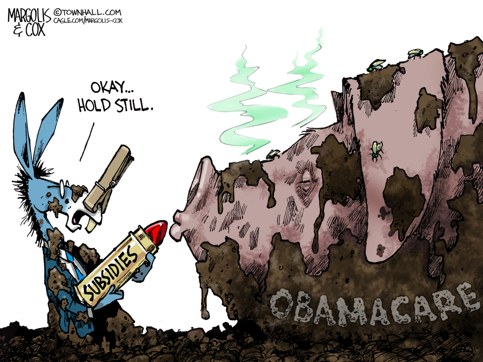 Obamacare Subsidies