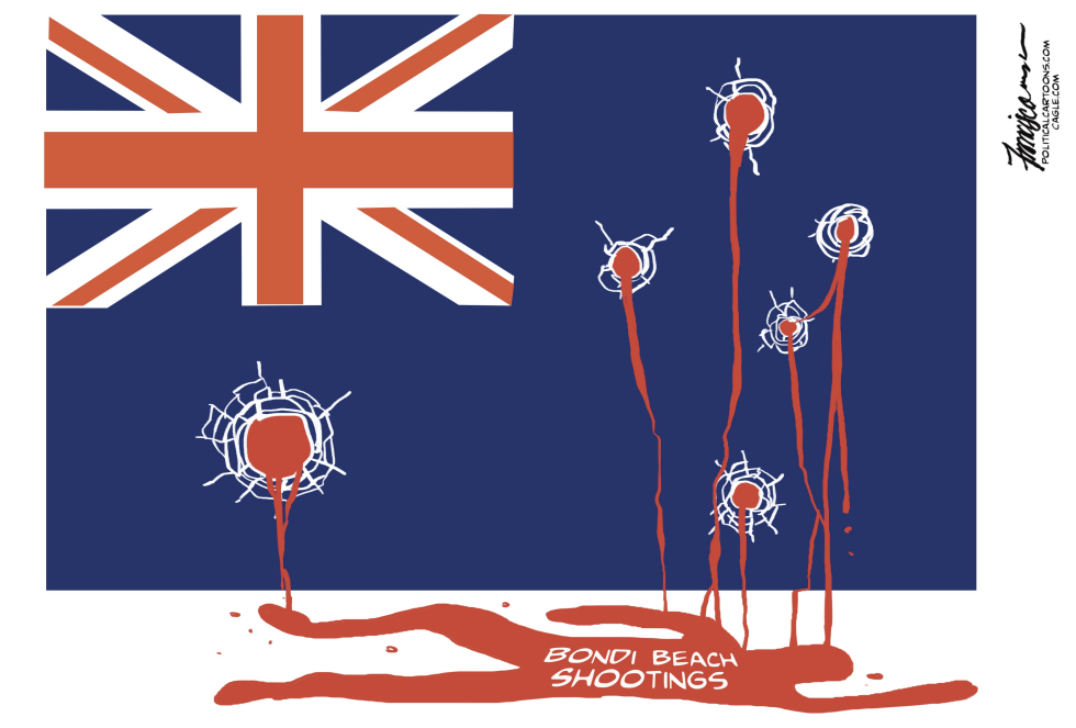 Bondi Beach Shootings