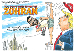 ZOHRAN by Zapiro