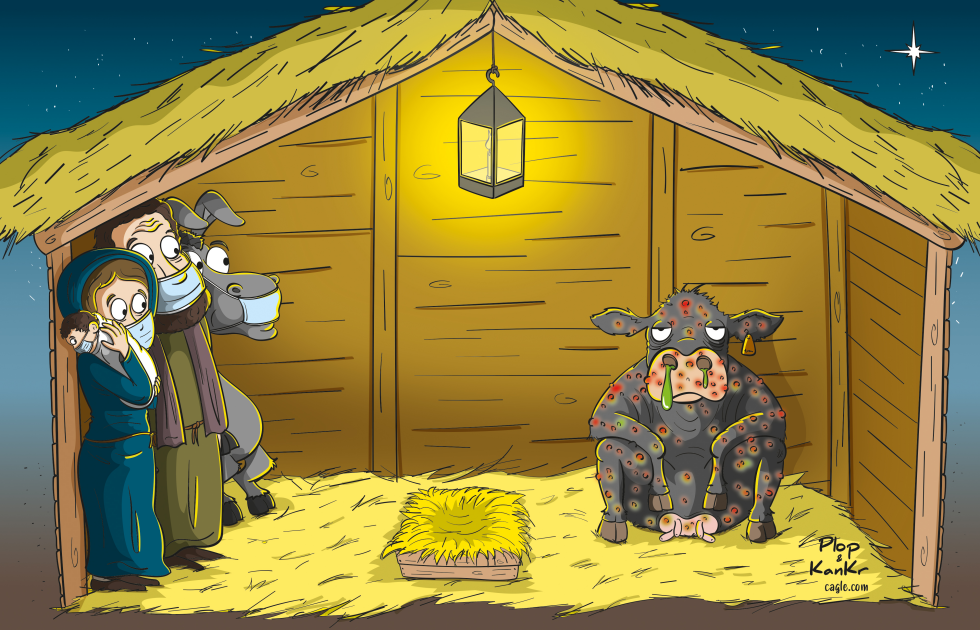 The ugly bovine is born...