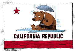TOO MUCH RAIN IN CALIFORNIA  by Daryl Cagle