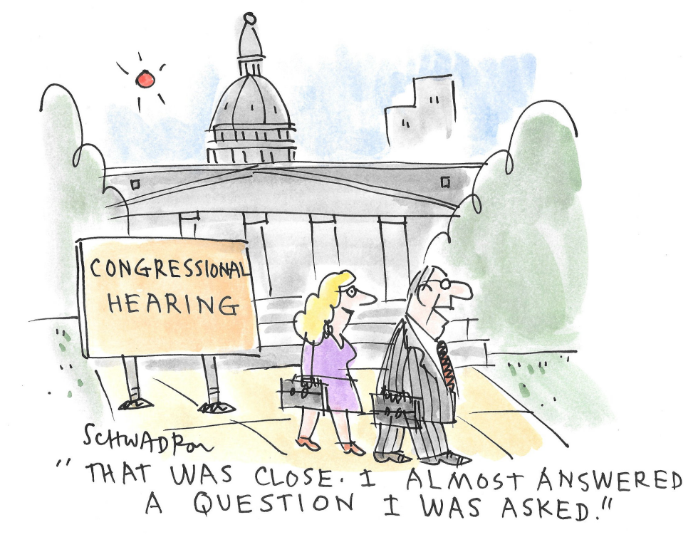 Congressional Hearing