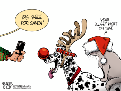 CHRISTMAS PETS by Margolis & Cox