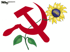 CUT SUNFLOWER by Bill Day
