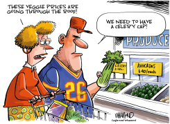 GROCERIES AND INFLATION by Dave Whamond