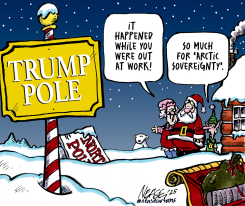 NEW POLE by Steve Nease
