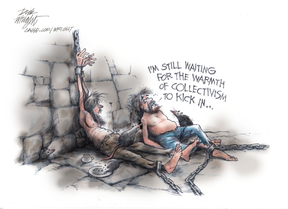 Mamdani "Warmth of Collectivism" Comment