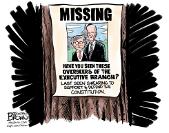 CONGRESSIONAL CHECK AND BALANCE MISSING by Jonathan Brown