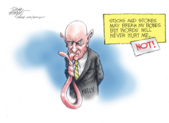 SEN. KELLY'S UNWISE WORDS by Dick Wright