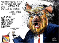 REJECT THE EVIDENCE OF YOUR EYES AND EARS by Dave Whamond