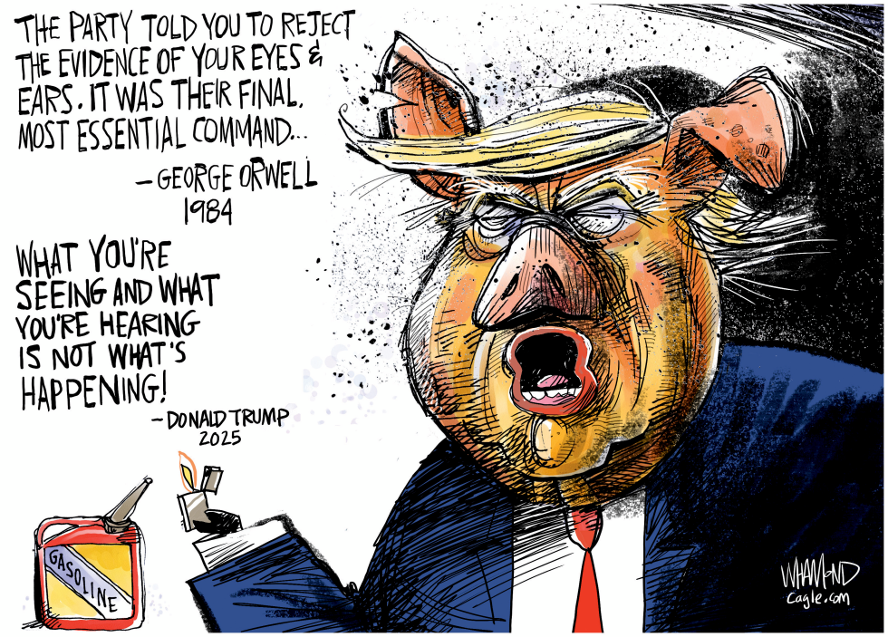 Reject the evidence of your eyes and ears