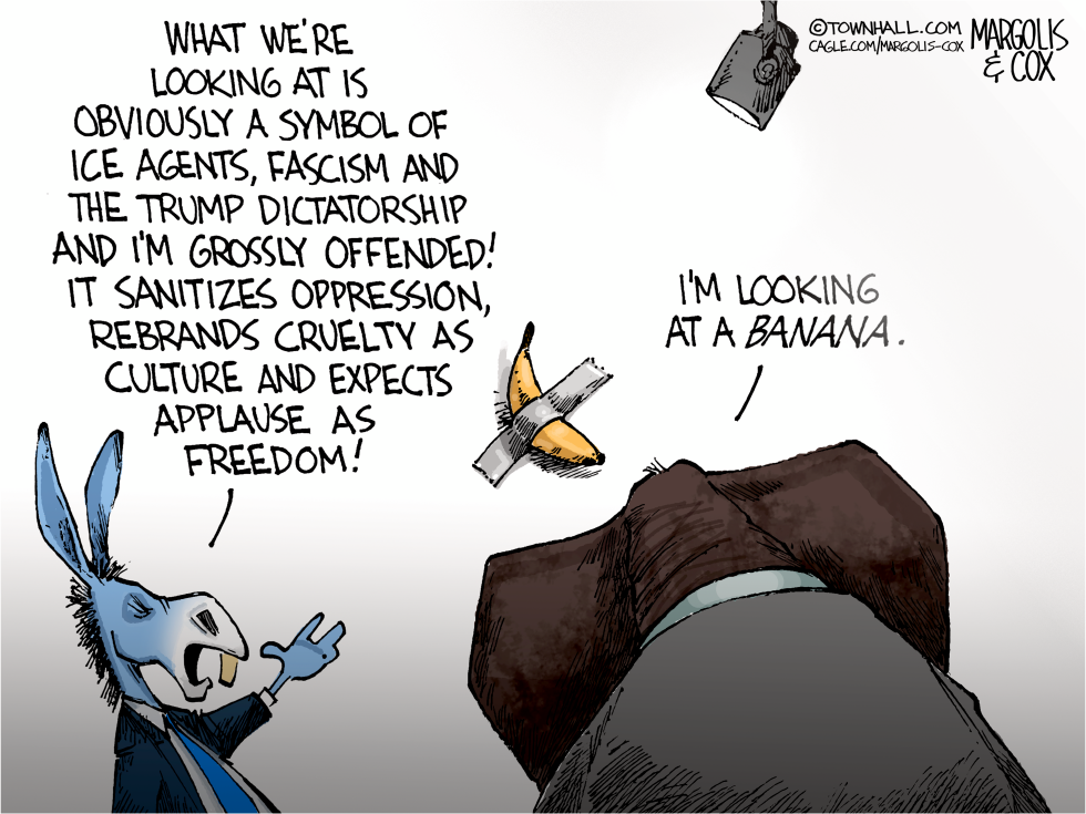 Partisan Perceptions