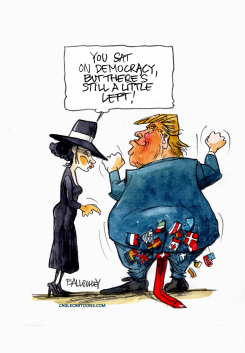 TRUMP AND THE DEMOCRACY by Pierre Ballouhey