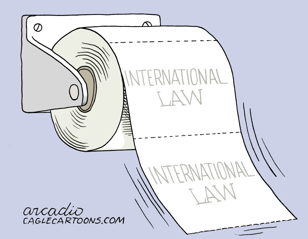 International Law at Work