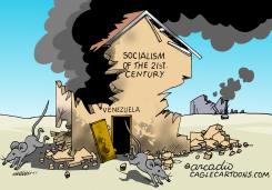 21ST-CENTURY SOCIALISM IN FREE FALL by Arcadio Esquivel