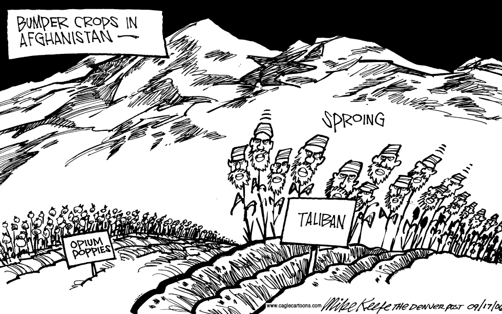 Afghanistan Bumper Crops