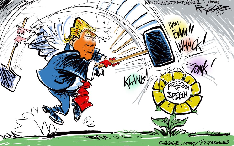 Freedom of Speech