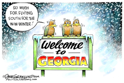 SNOW AND ICE IN THE SOUTH by Dave Granlund