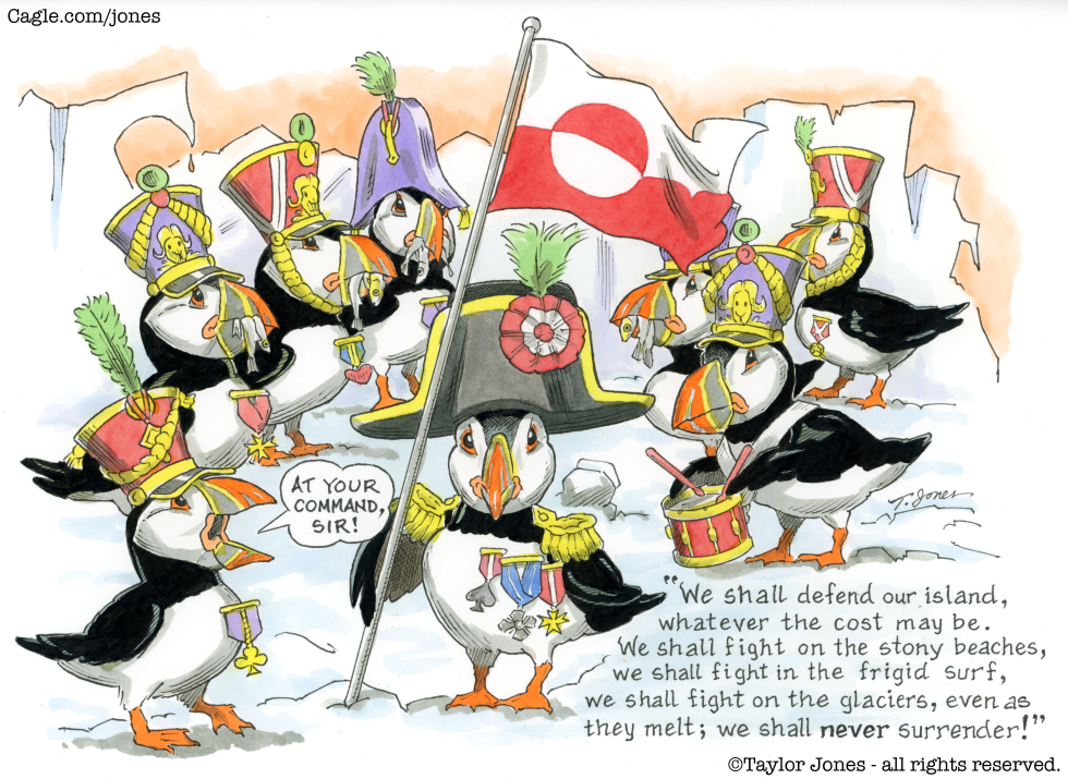 Greenland puffins defend sovereignty