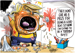 TRUMP GETS NO PRIZE by Dave Whamond