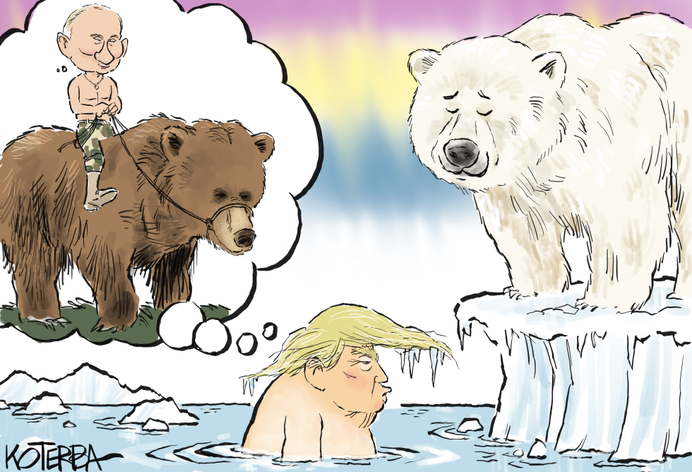 Russian bear, polar bear