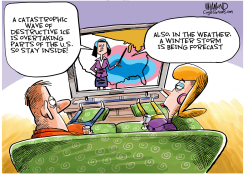 ICE STORM by Dave Whamond