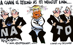NATO CHAIN LINK by Milt Priggee
