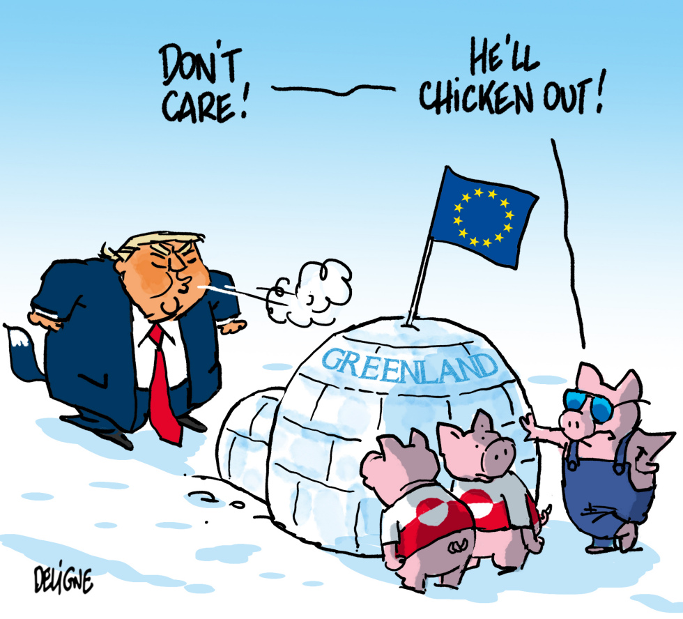 The 3 little pigs in Greenland