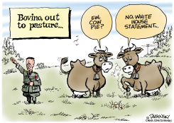 GREG BOVINO IS PUT OUT TO PASTURE by Paul Duginski
