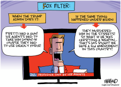 THE FOX FILTER by Dave Whamond