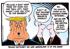 ON WHY GREENLAND IS UP FOR GRABS by Ingrid Rice