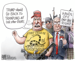 2ND AMENDMENT CROWD by Adam Zyglis
